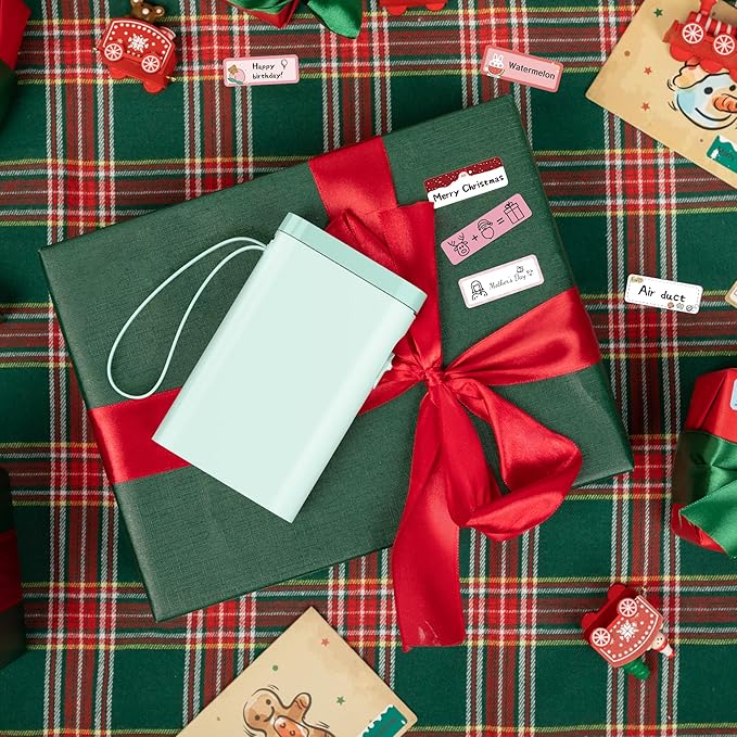 Nelko Label Maker Machine with Tape, P21 Bluetooth Label Printer, Wireless Mini Label Makers with Multiple Templates for School Office Home, Green