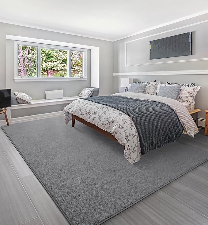 Soft Rugs for Living Room 5x7 Grey, Minimalist Area Rug for Bedroom Nursery Dining Table Dorm, Throw Rugs for Men Boys Girls Kids Room Indoor Floor Carpets