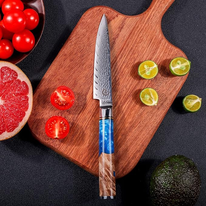5 Inch Kitchen Utility Knife, Damascus Paring Knives,Japanese VG10 Steel Damascus Fruit Knife-Ergonomic Blue Resin Handle Ideal Birthday Gift for Men and Women