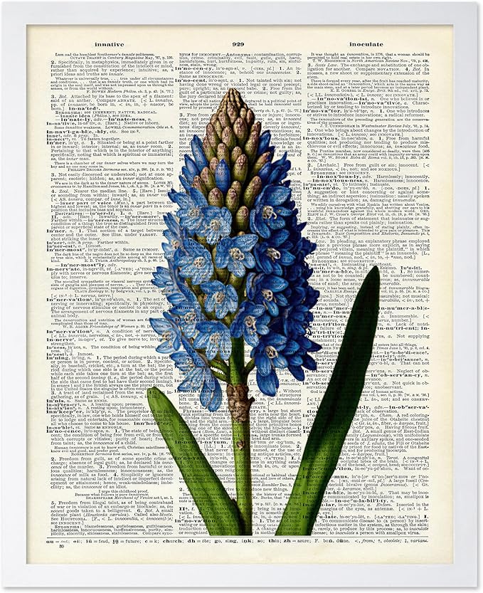 Poster Master Dictionary Art Poster - Blue Hyacinth Print - Flower Art - Floral Art - Gift for Men, Women & Florist - Minimal Decor for Bedroom, Office, Dorm or Flower Shop, 11x14 White Framed
