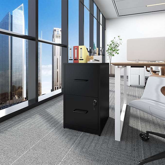 File Cabinet, Vertical File Cabinets with Lock for Home Office,Heavy Duty Office Steel Filing Cabinet for Hanging Letters/Legal/A4, Assembly Required (Black, 2 Drawers-Small)