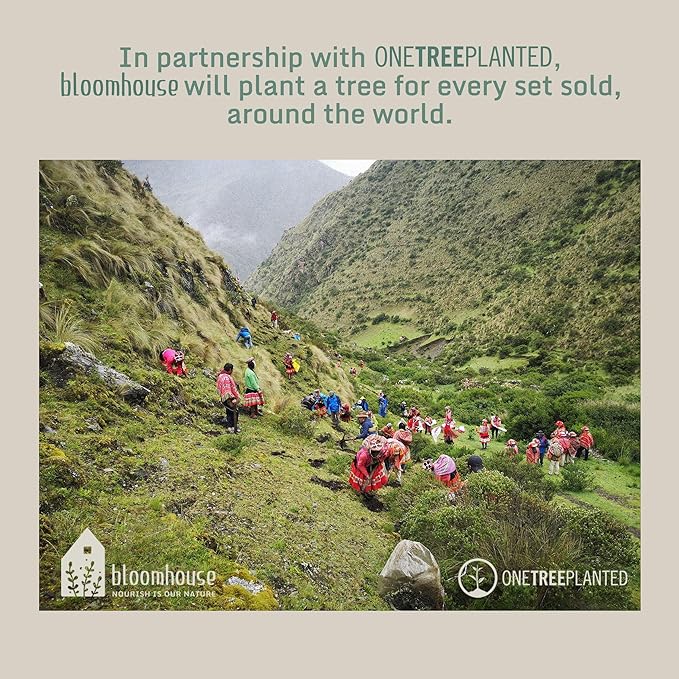 Bloomhouse Corsica Clay 12 Piece Stoneware Rustic Reactive Glaze Dinnerware Set - Stackable Plates and Bowls Set. Service for 4 - Matte Sea Salt White