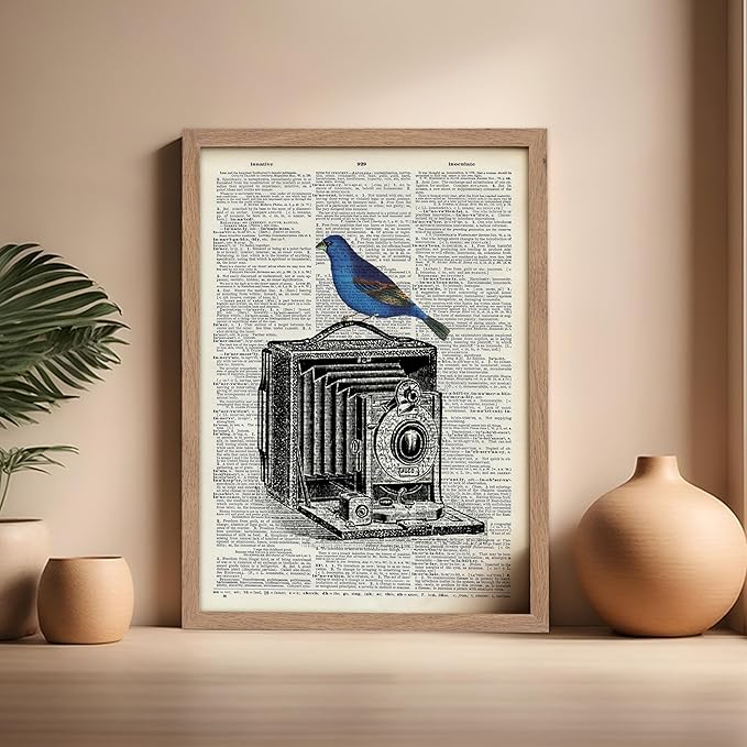 Poster Master Dictionary Art Poster - Antique Camera Print - Bird Art - Photography Art - Gift for Men, Women & Photographer - Chic Decor for Living Room, Bedroom or Office, 16x20 Beige Framed