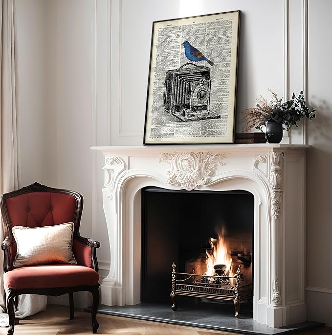 Poster Master Dictionary Art Poster - Antique Camera Print - Bird Art - Photography Art - Gift for Men, Women & Photographer - Chic Decor for Living Room, Bedroom or Office - 8x10 UNFRAMED Wall Art