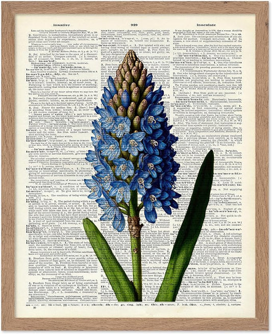 Poster Master Dictionary Art Poster - Blue Hyacinth Print - Flower Art - Floral Art - Gift for Men, Women & Florist - Minimal Decor for Bedroom, Office, Dorm or Flower Shop, 8x10 Beige Framed
