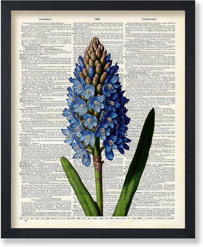 Poster Master Dictionary Art Poster - Blue Hyacinth Print - Flower Art - Floral Art - Gift for Men, Women & Florist - Minimal Decor for Bedroom, Office, Dorm or Flower Shop - 11x14 UNFRAMED Wall Art