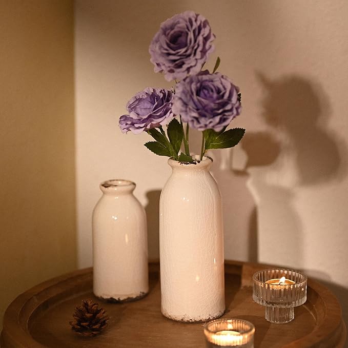 VICTOR & TERESA White Ceramic Vases Home Decor, Farmhouse Vase for Flowers, Flower Vase Set of 2, Rustic Decorative Vases for Pampas Grass, Table, Living Room, Shelf, Centerpieces, 8 inch