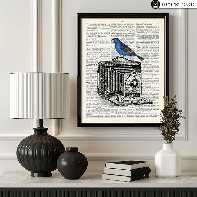 Poster Master Dictionary Art Poster - Antique Camera Print - Bird Art - Photography Art - Gift for Men, Women & Photographer - Chic Decor for Living Room, Bedroom or Office - 11x14 UNFRAMED Wall Art