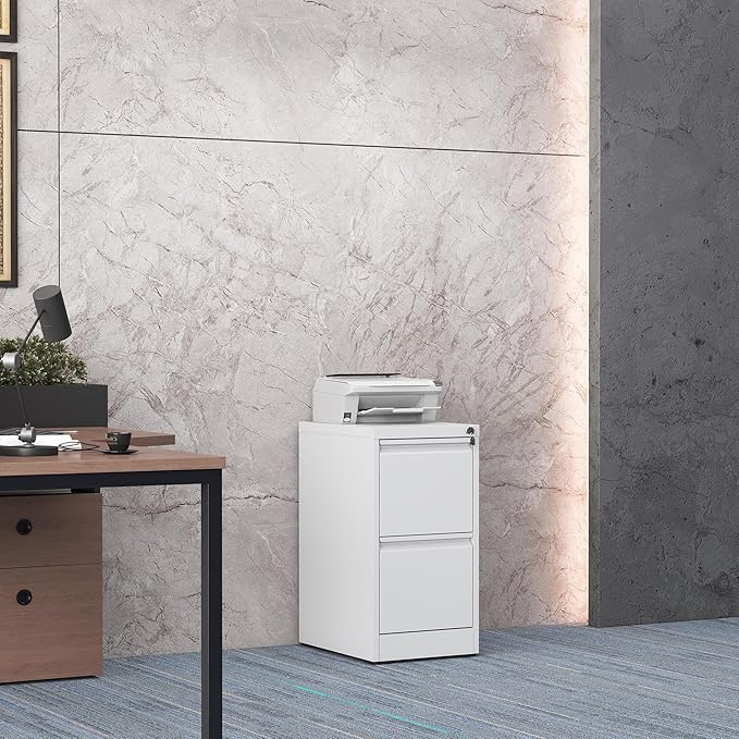 2 Drawer File Cabinet with Lock, Steel Vertical Filing Storage Cabinet for Home Office, Heavy-Duty File Cabinets for Letters/Legal/A4 (Require Assembly, White)